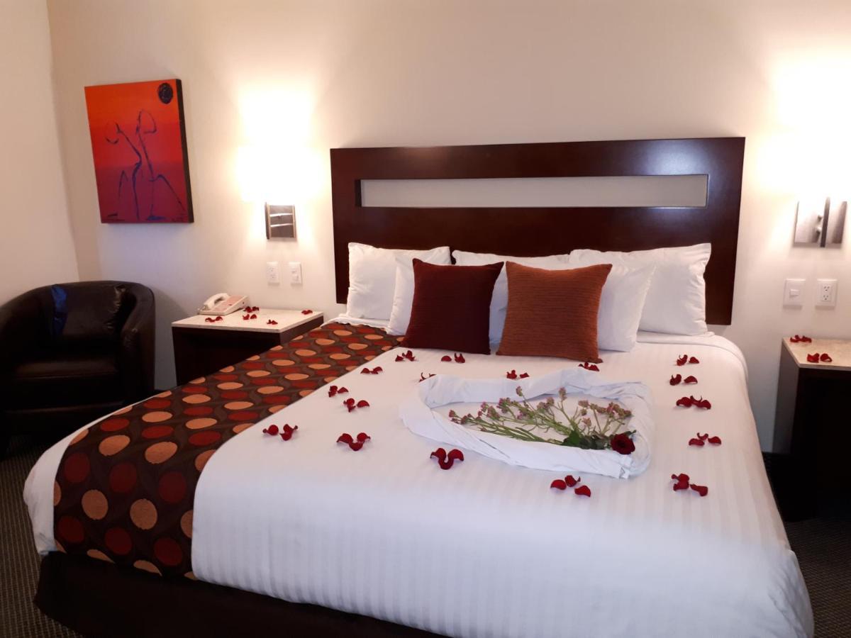 Hotel Ankara "Las Lomas" Сан-Луис-Потоси Экстерьер фото